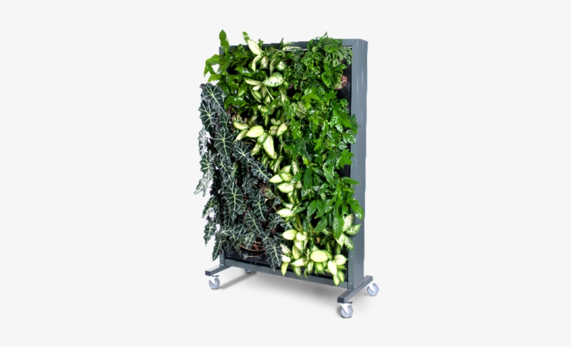 Mobile Green Walls - Ściana Roślinna, transparent png download
