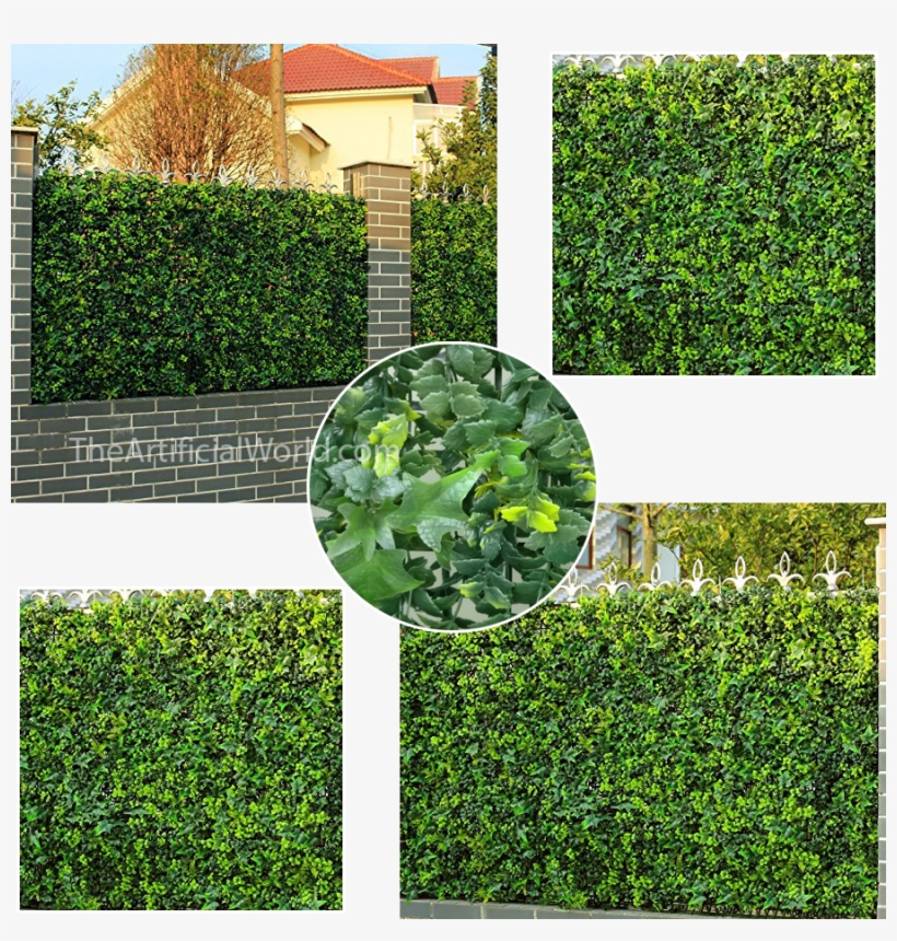 Uland - Uland Artificial Ivy Privacy Screen Fence, Greenery, transparent png download