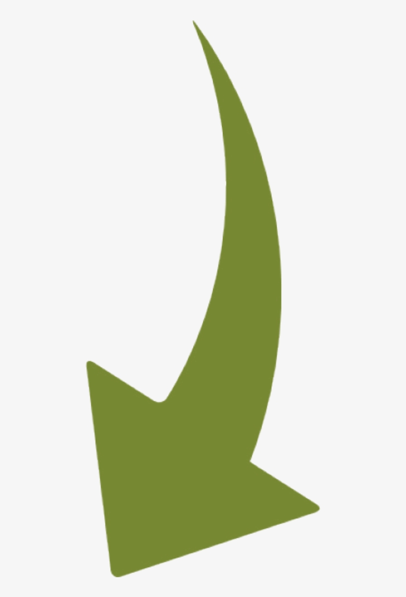 Elon Musk, transparent png download