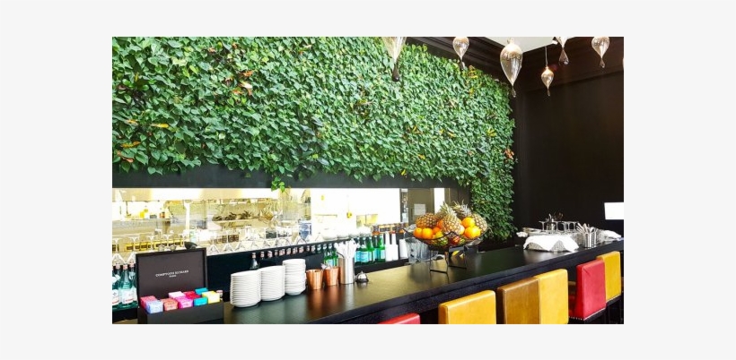 Living Plant Walls - Wall, transparent png download