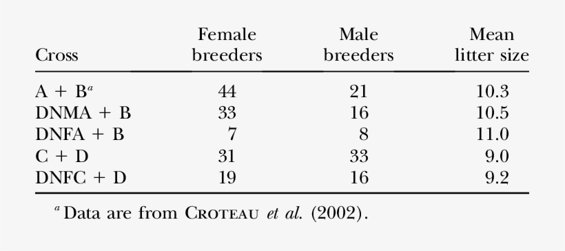 Characteristics Of The Crosses - Number, transparent png download