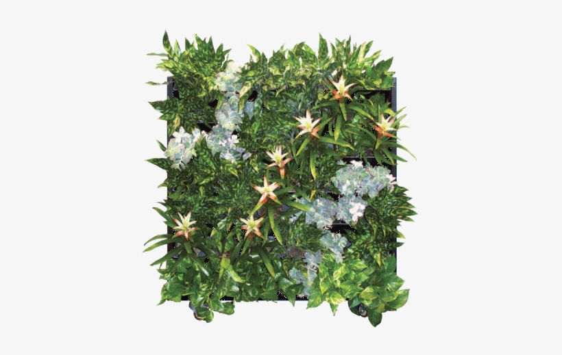 See The Living Walls Brochure - Christmas Tree, transparent png download