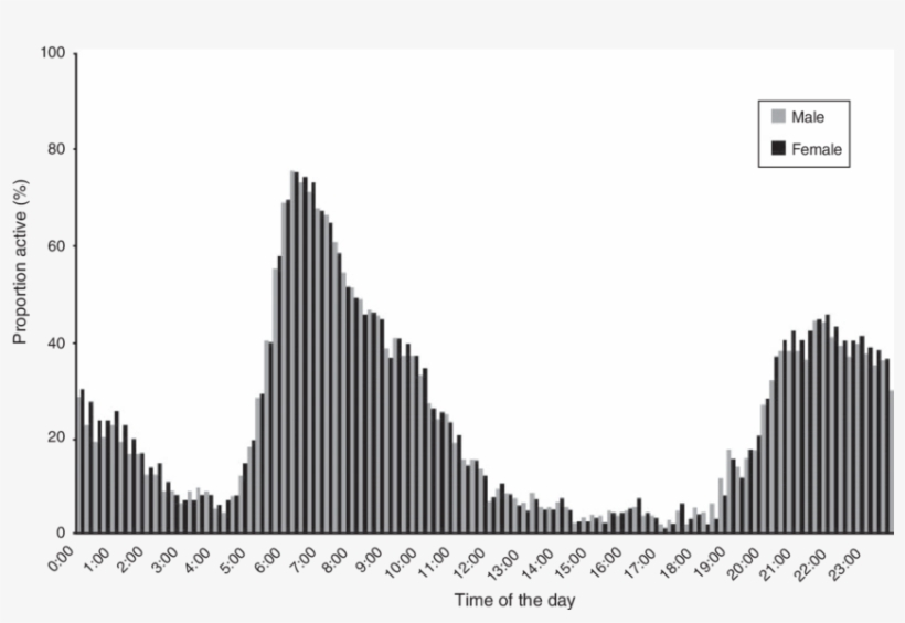 Daily Activity Patterns For Both Adult Bush Dogs Where - Skyline, transparent png download