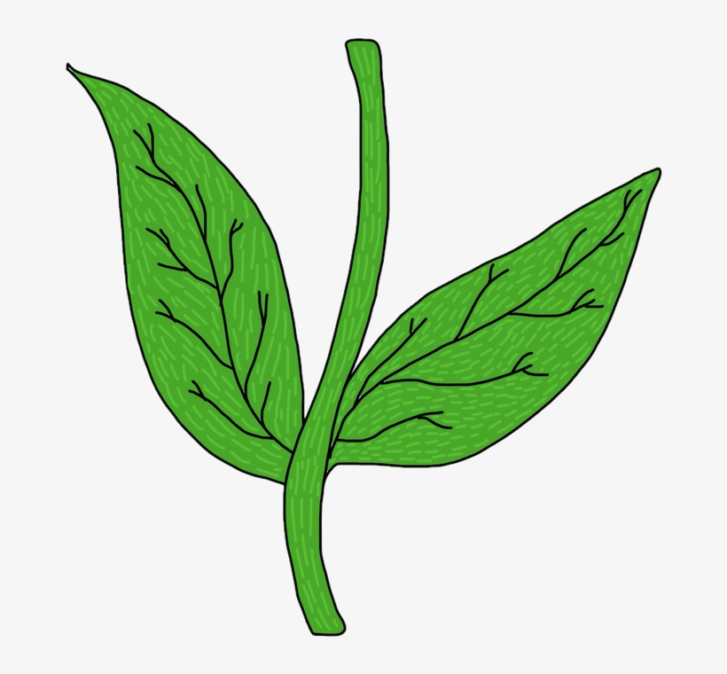 Collection Of Flower Clip Transparent Library - Drawing, transparent png download