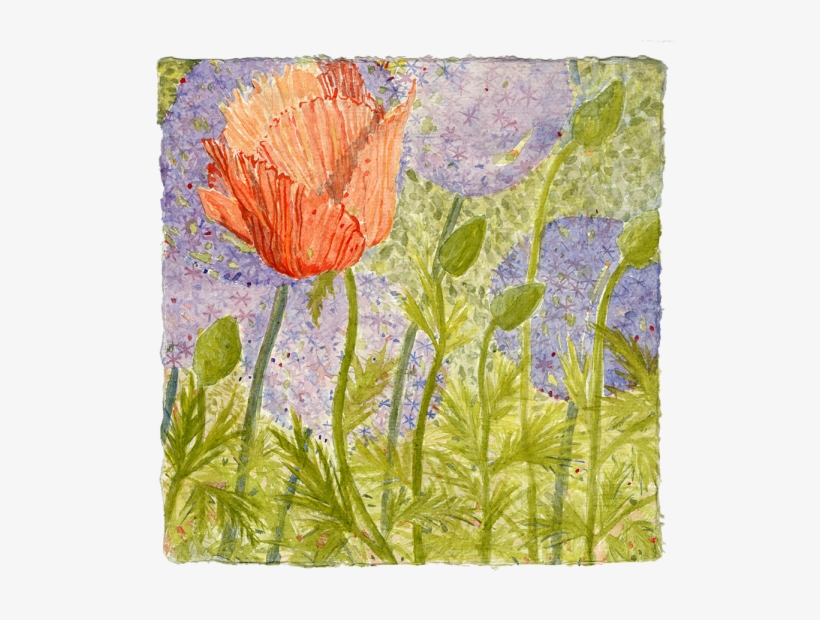 Watercolor - Oriental Poppy, transparent png download
