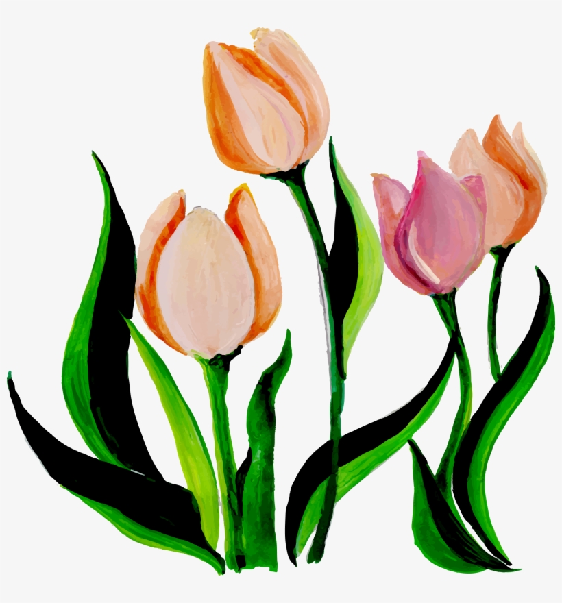 Flower, transparent png download