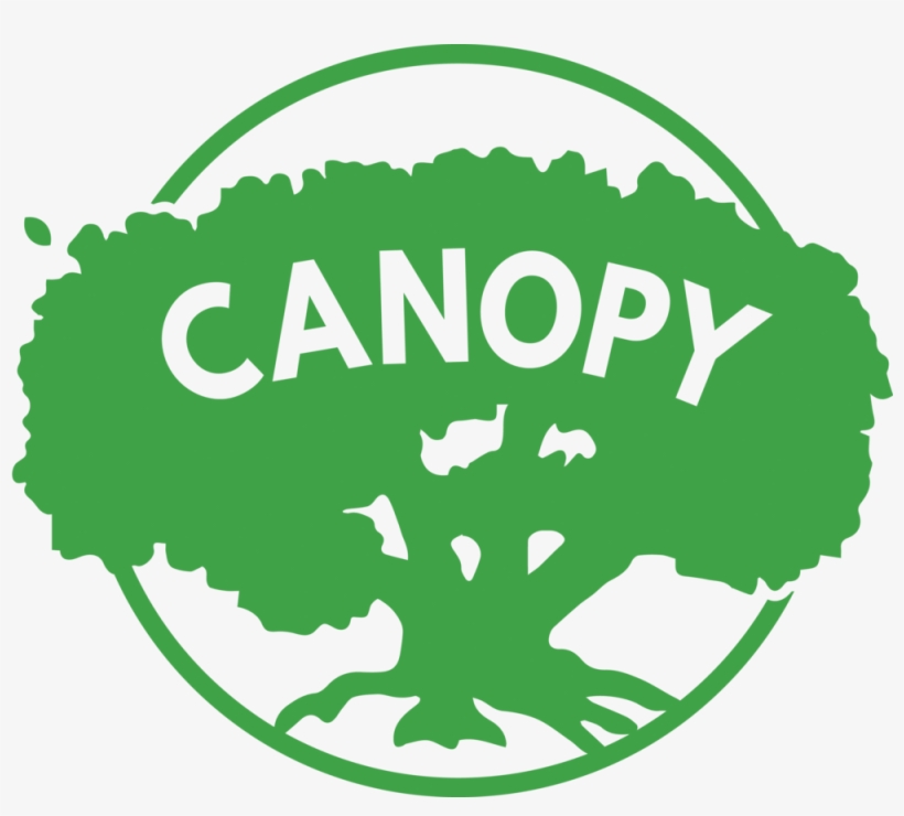 Canopy Png, transparent png download
