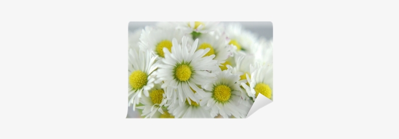 Library, transparent png download