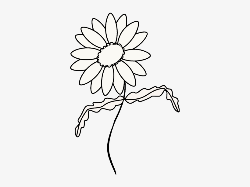 Drawn Daisy Black And White - Safavieh Wall Mirror Mir4017a Chrysanthemum Mirror, transparent png download