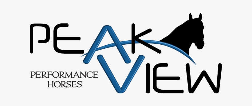 Quality Timed Event Prospects - Horse, transparent png download