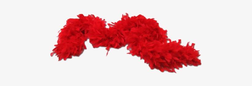 Vector Library Boas Balaji Exports Exporter In Faridabad - Transparent Red Feather Png, transparent png download