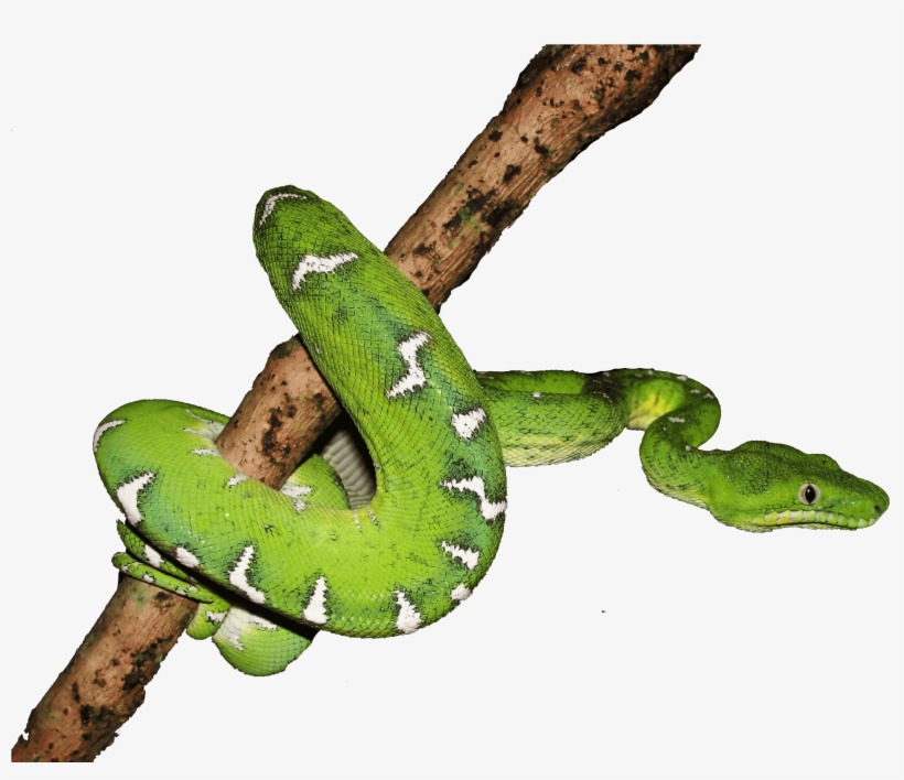 ملاحظات - Drawing, transparent png download