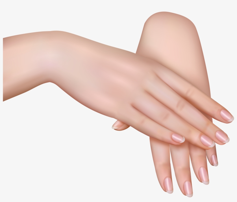 Woman Hands Png, transparent png download