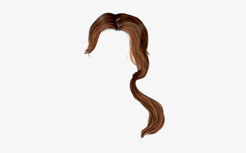 Hair Png - Hair, transparent png download