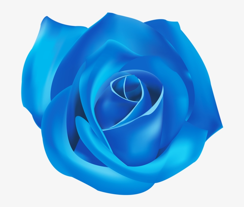 Png Roses - Blue, transparent png download