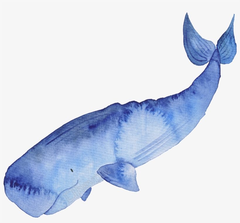 Blue Hand - Whales, transparent png download