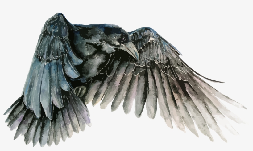 Bird Watercolor Painting Common Raven Drawing - Raven Vector, transparent png download