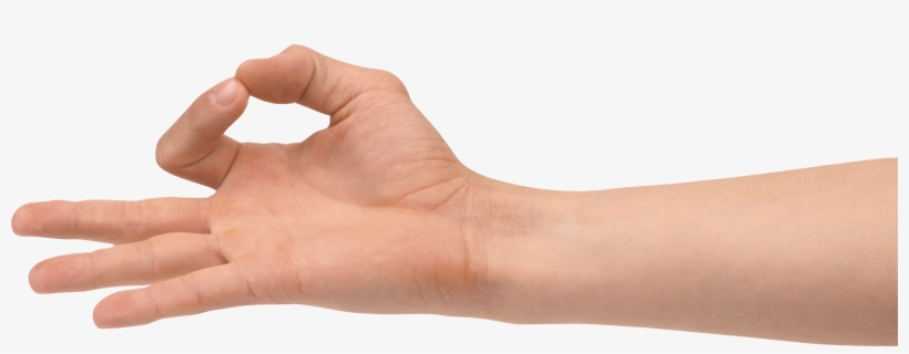 Three Finger Hand Png Image - Hand Transparent, transparent png download