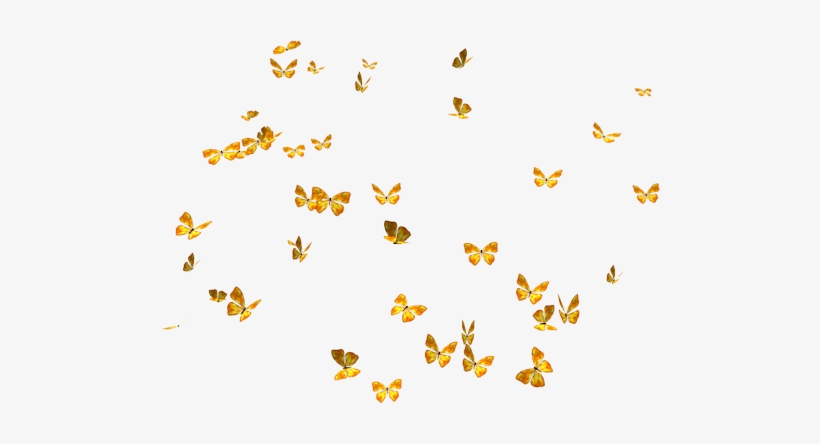 Download Png Clipart - Butterflies Png, transparent png download
