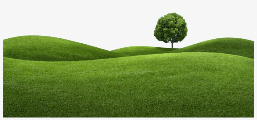 Harrogate Machinery Lawnmower Service - Green Hill, transparent png download