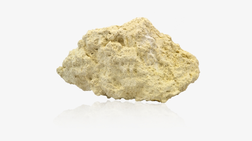 Coral Rock Png - Igneous Rock, transparent png download
