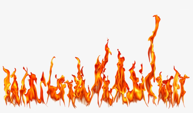 Ngon Lua Png, transparent png download