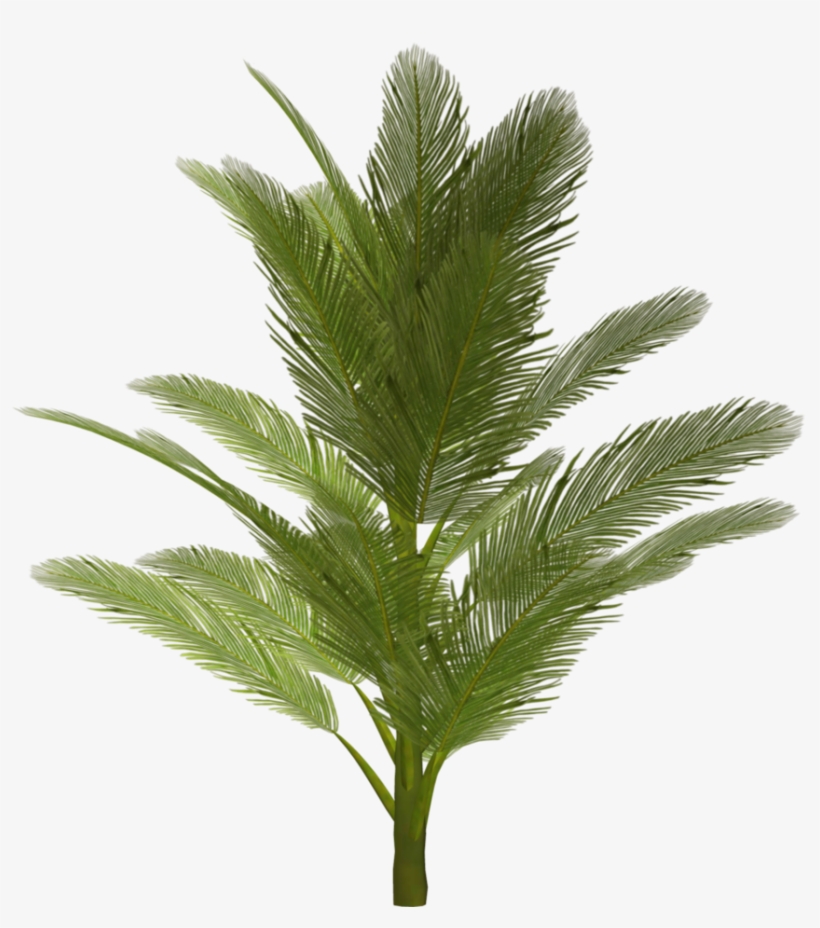 Download - Vegetação Photoshop, transparent png download