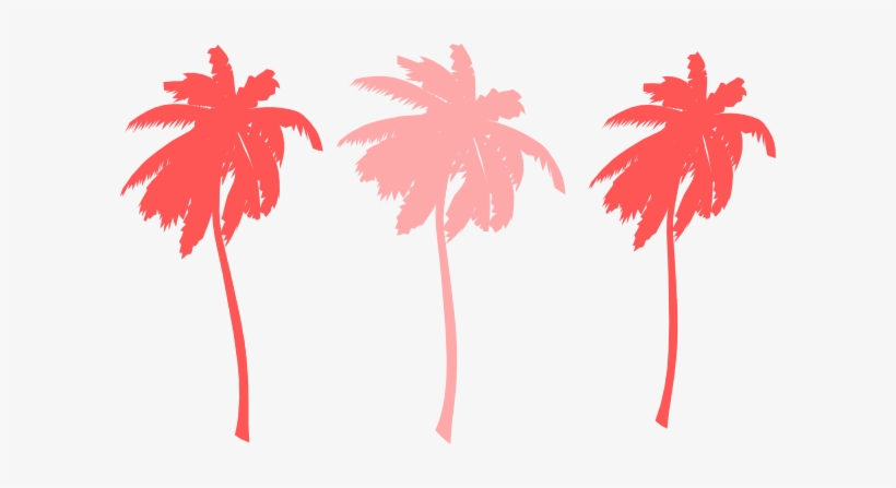 Palm Tree Png Colorful, transparent png download