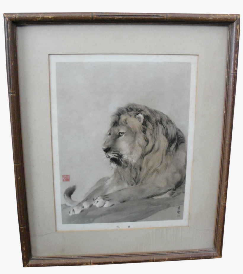 Vintage Japanese Print Of Savannah Lion On Chairish, transparent png download