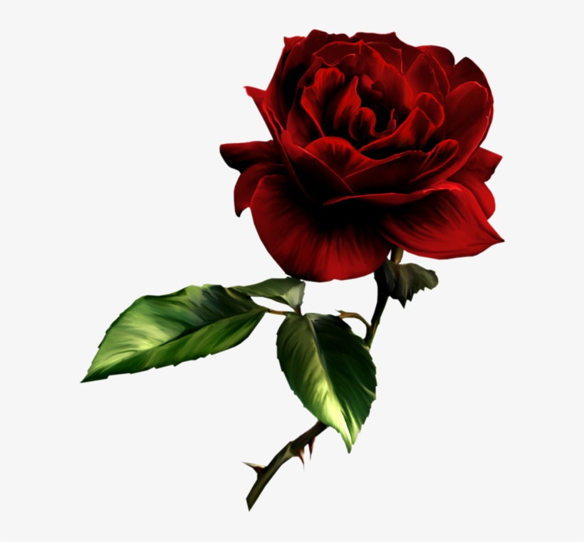 Beautiful Clipart Red Rose - Sympathy To A Dear Friend, transparent png download