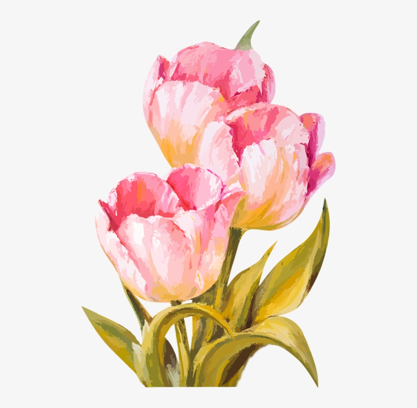 Tubes Fleurs Pinterest Flowers - Watercolor Tulips Transparent, transparent png download