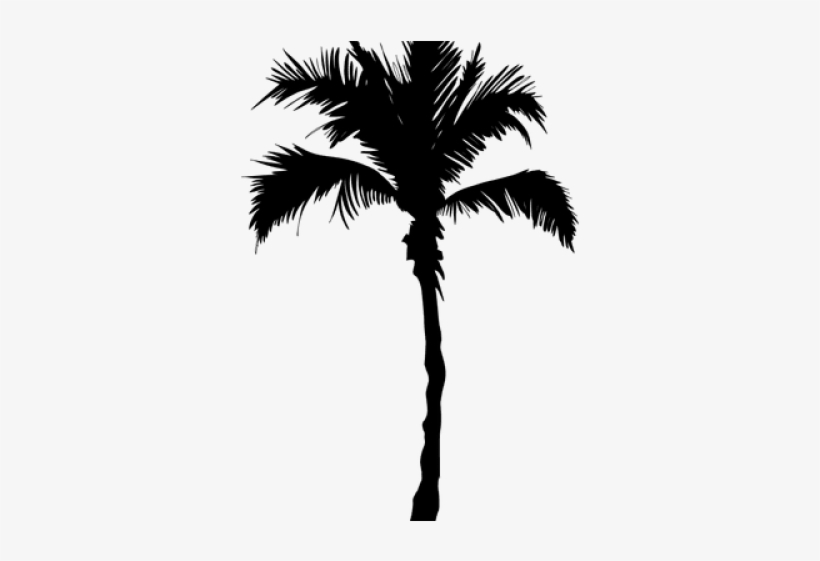Palm Tree Png Transparent Images - Respiro Janeiro, transparent png download