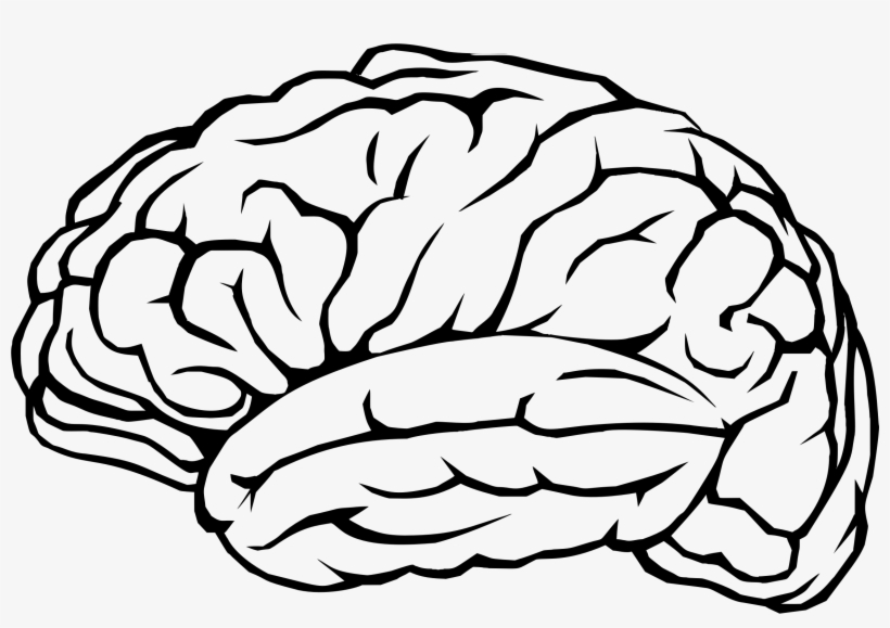 This Free Icons Png Design Of Brain Profile Line Art, transparent png download