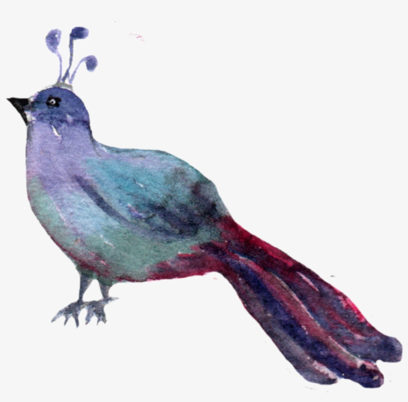 Ftestickers Watercolor Clipart Woodlandcreatures Bird - Picsart Photo Studio, transparent png download