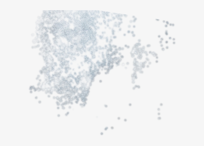 Brachionus Plicatilis, transparent png download