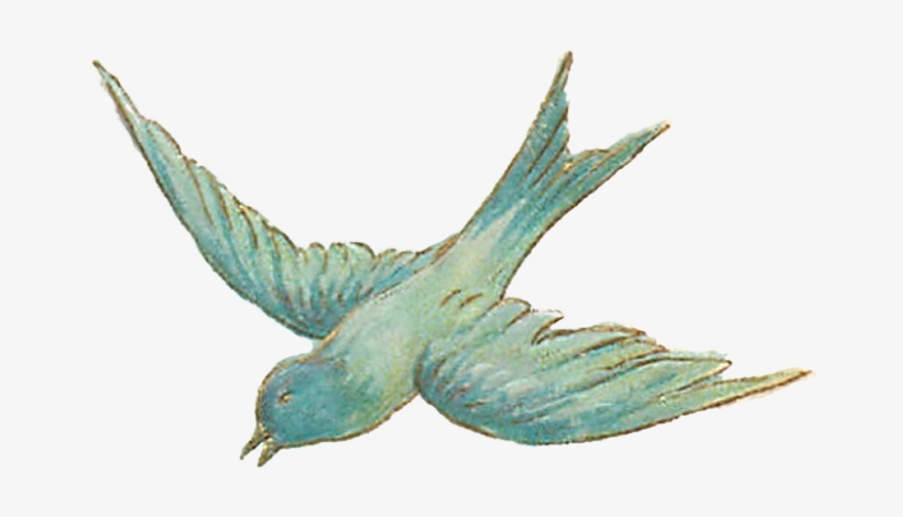 Vintage Bird Illustrations - Vintage Bird Transparent Background, transparent png download