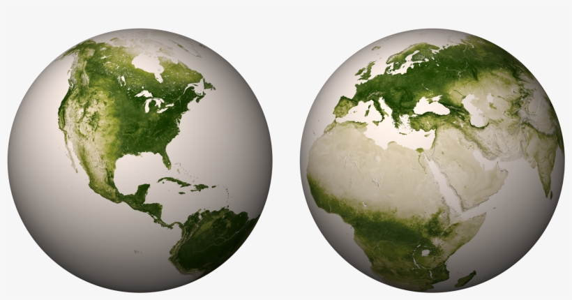 Image - Vegetation Map Of The Earth, transparent png download