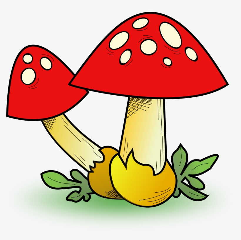 This Free Icons Png Design Of Fungal Forest, transparent png download