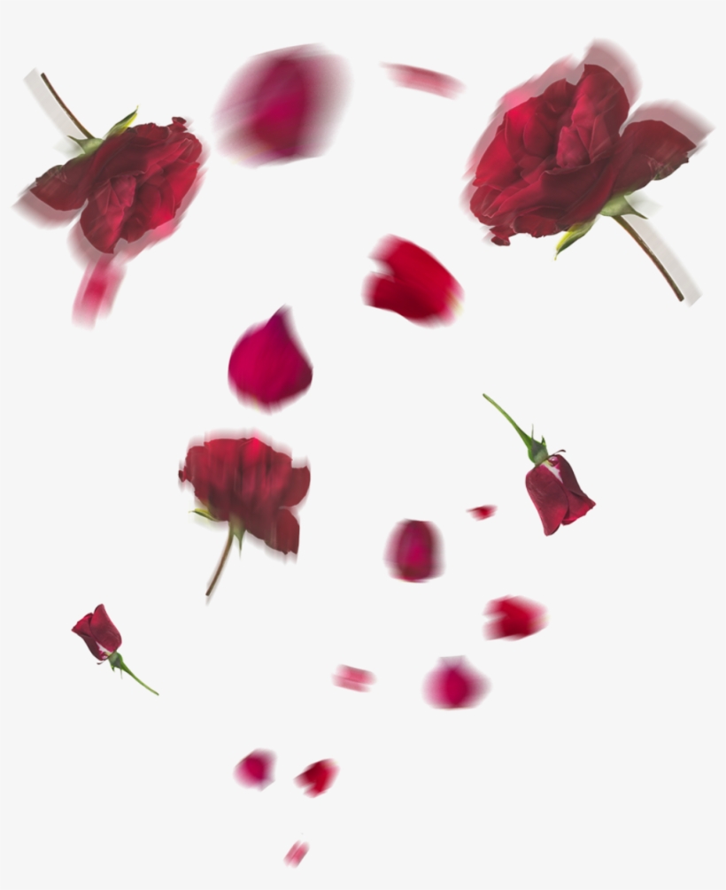 Floating Flower Crop Png - Rosasn Png, transparent png download