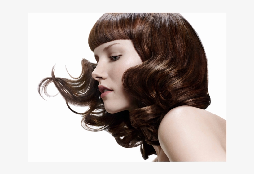 Beauty Salon Png, transparent png download