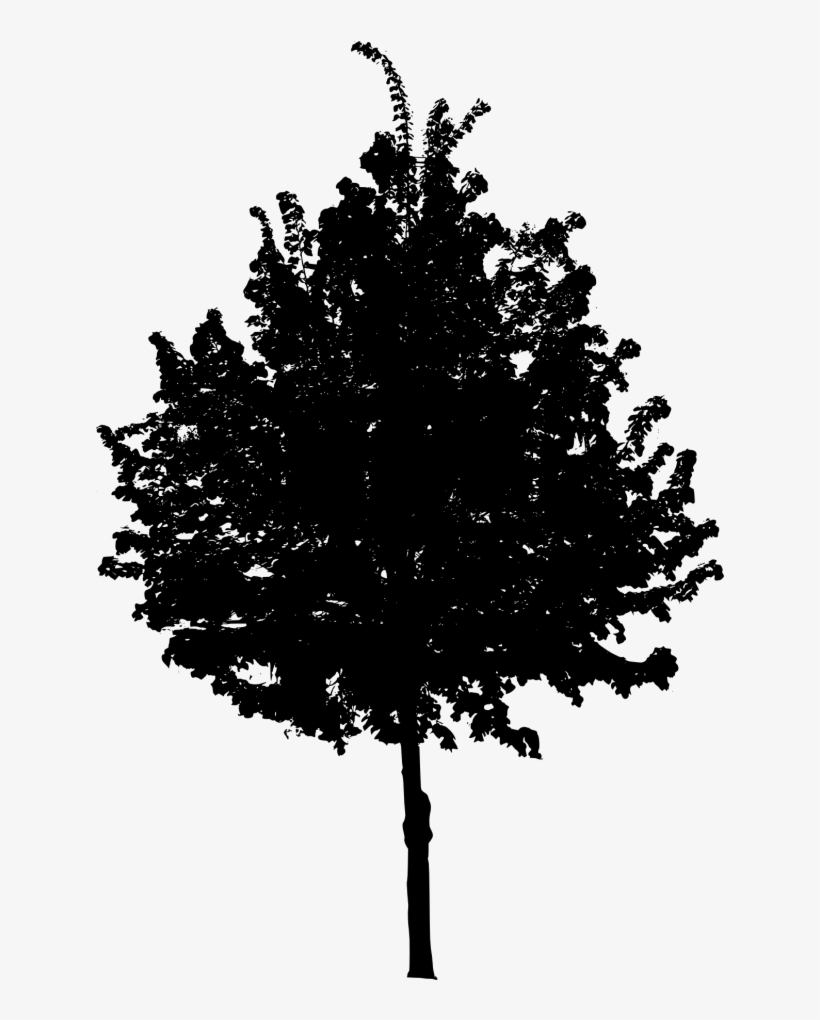 Png File Size - Tree Png Black And White, transparent png download