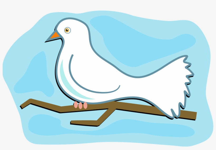 White Dove - Dove Clip Art, transparent png download