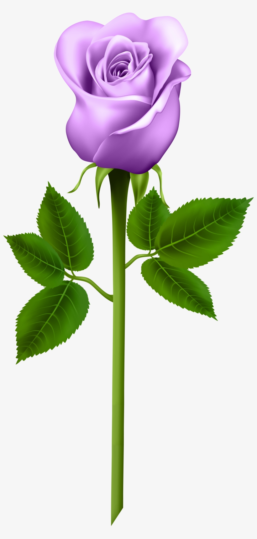 Watercolor Flower Wreath Purple Rose Garland Leaf Pink - Information About Parts Of A Plant, transparent png download