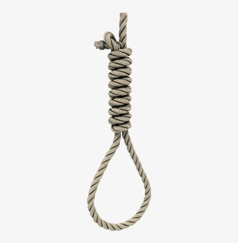 Miscellaneous - Model, transparent png download