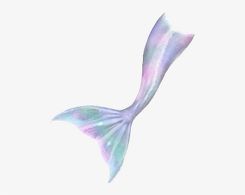 Mermaid Tail Tumblr Fantasy Selfie - Mermaid Png, transparent png download