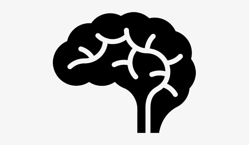 Brain Png - Brain Clipart Png, transparent png download