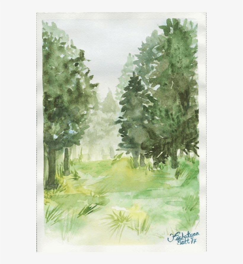 Forrest Drawing Watercolor Graphic Free - Watercolor Painting, transparent png download