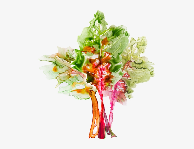 Design & Creative Direction - Watercolor Veggies, transparent png download