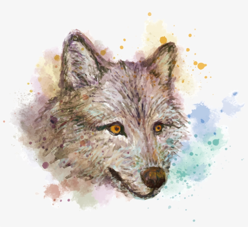 Gray Wolf Painting Red Fox Drawing Hand - 水彩 狼 素材, transparent png download