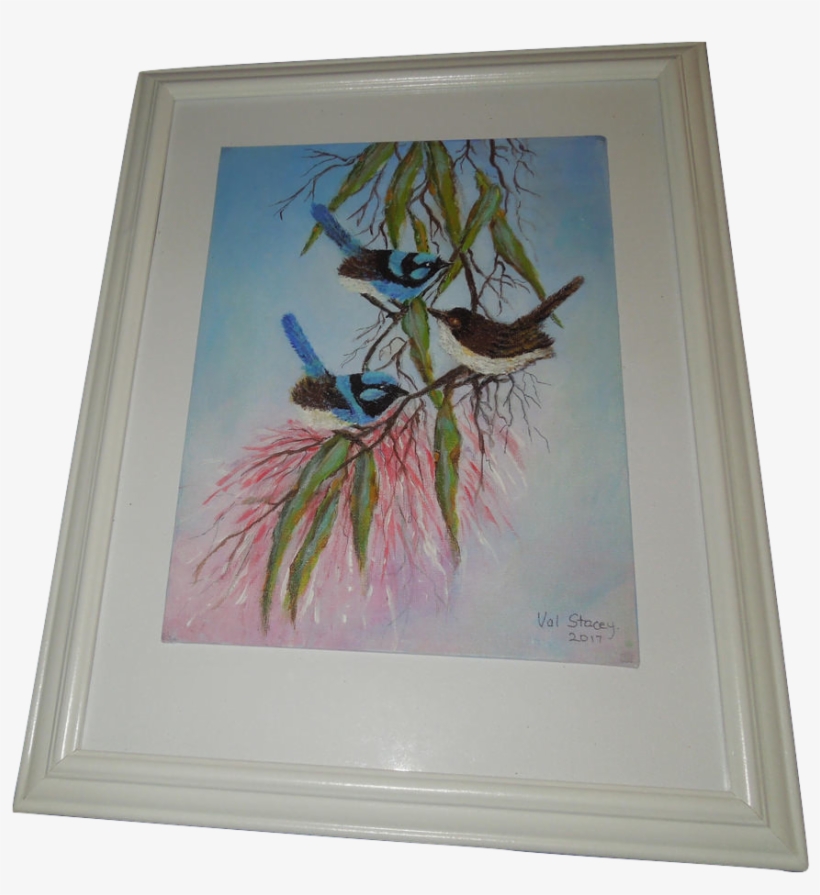 Blue Wren Paintings - Superb Fairywren, transparent png download